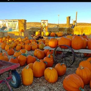 Image post by @boise_bucketlist on Instagram