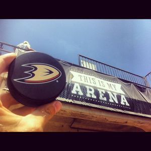 Image post by @anaheimducks on Instagram