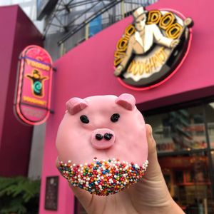 Image post by @cowmissing on Instagram