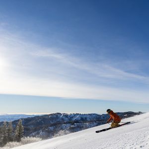 Image post by @bogusbasin on Instagram