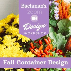 Image post by @shopbachmans on Instagram