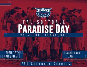 Image post by @fausoftball on Instagram
