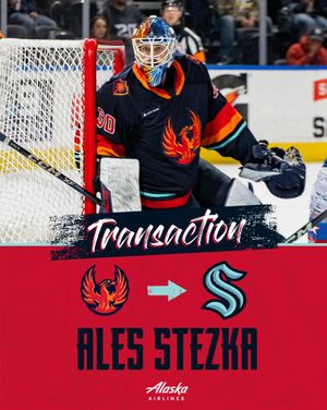 Image post by @Firebirds on Twitter