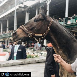 Image post by @kentuckyderby on Instagram