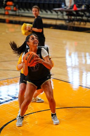 Image post by @VandalsWBB on Twitter
