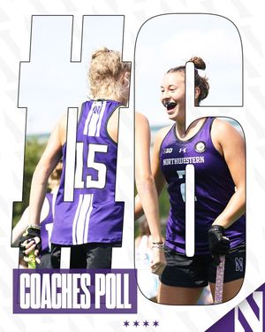 Image post by @nufhcats on Instagram