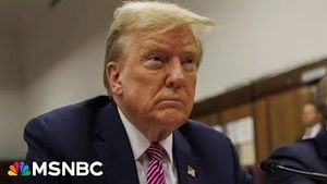 Video post by @msnbc on YouTube
