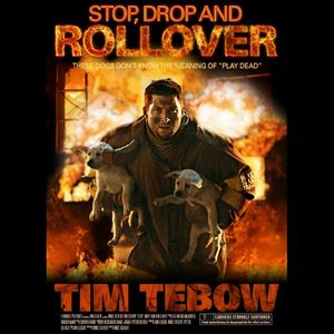 Image post by @timtebow on Instagram