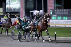 Image post by @nzhorseambulancetrust on Facebook