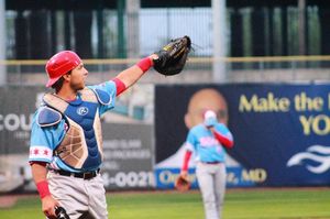 Image post by @thechicagodogs on Instagram