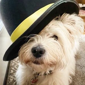 Image post by @wfuniversity on Instagram