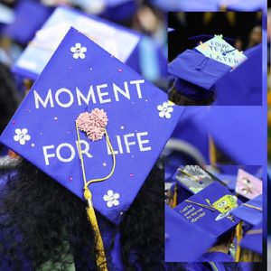 Image post by @hofstrau on Instagram