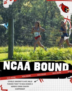 Image post by @landmark_conf on Instagram