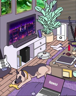 Image post by @rokuplayer on Instagram
