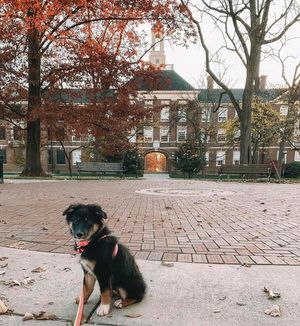 Image post by @miamiuniversity on Instagram