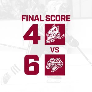 Image post by @guelph_storm_ohl on Instagram