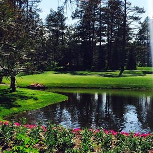 Image post by @wyndhamclark on Instagram