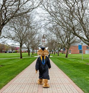 Image post by @quinnipiacu on Instagram