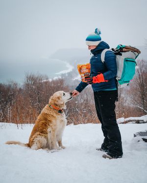 Image post by @triumphpetfood on Instagram