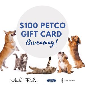 Image post by @markfickenfordcharlotte on Instagram