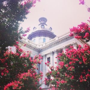 Image post by @uofscalumni on Instagram