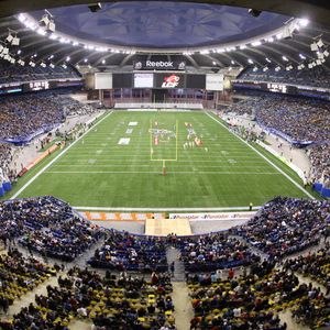 Image post by @mtlalouettes on Instagram
