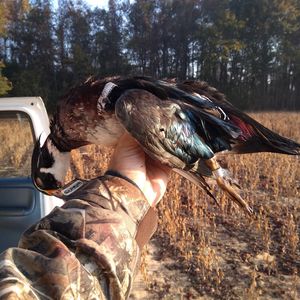 Image post by @leo_outdoors on Instagram