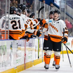 Image post by @fwkomets on Instagram