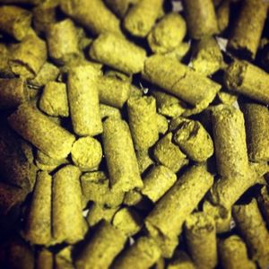 Image post by @navigationbrewingco on Instagram