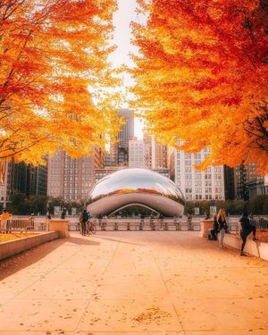 Image post by @chicago.explore on Instagram