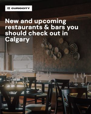 Image post by @curiocitycalgary on Instagram
