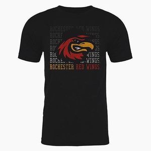 Image post by @rocredwings on Instagram
