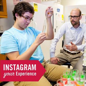 Image post by @ugacareercenter on Instagram