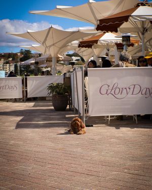 Image post by @mackhuffphoto on Instagram