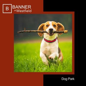 Image post by @BannerAtWestfield on Facebook