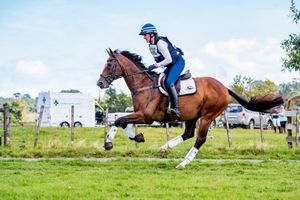 Image post by @NZHorseAmbulanceTrust on Facebook