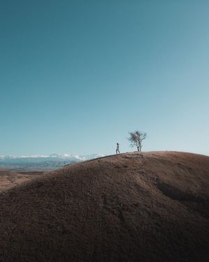 Image post by @lightbros on Instagram
