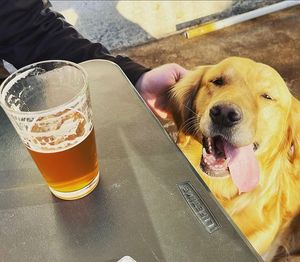 Image post by @navigationbrewingco on Instagram