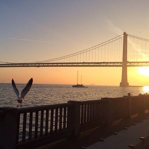 Image post by @onlyinsf on Instagram
