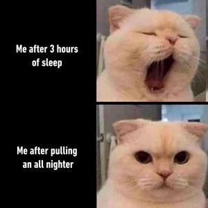 Image post by @9gag on Instagram