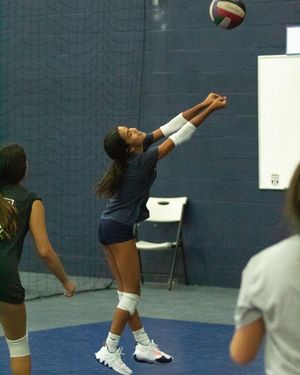 Image post by @mytribevolleyball on Instagram