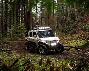 Image post by @polarisorv on Instagram