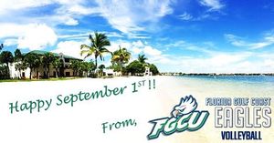Image post by @fgcu_vb on Instagram
