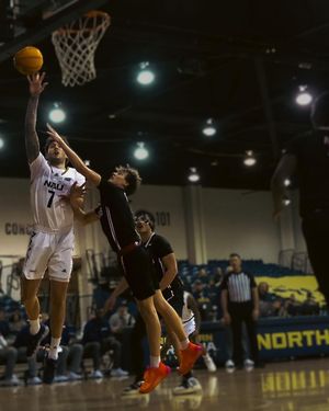 Image post by @sierra.lee.creations on Instagram