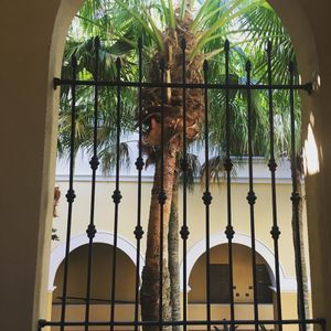 Image post by @rosencollege on Instagram