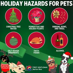 Image post by @firstgentmarlonreis on Instagram