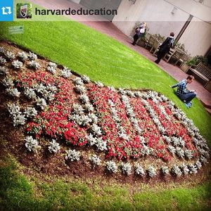 Image post by @harvard on Instagram