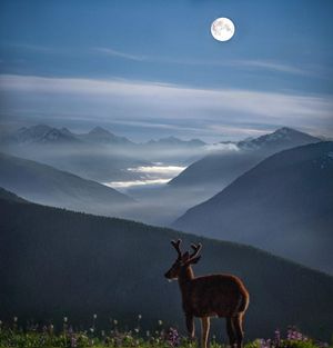 Image post by @foxweather on Instagram