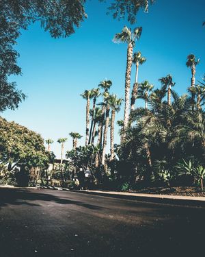 Image post by @ryxnlevy on Instagram
