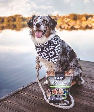 Image post by @evolvepetfood on Instagram